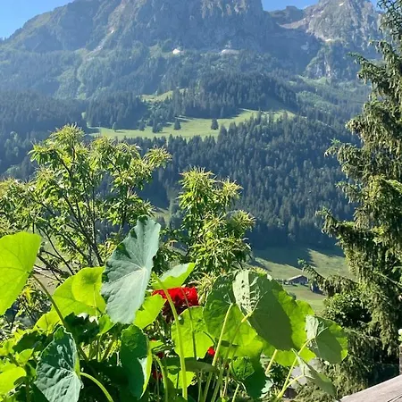 Chalet Pre-vert Gstaad